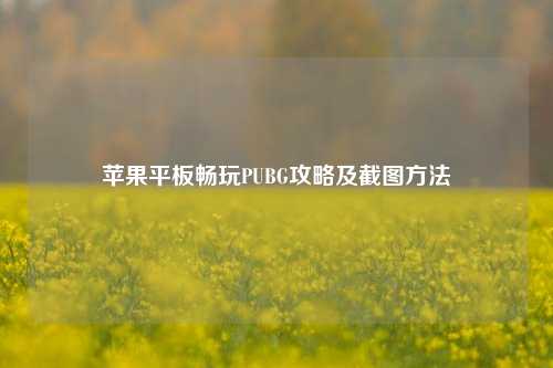 苹果平板畅玩PUBG攻略及截图方法