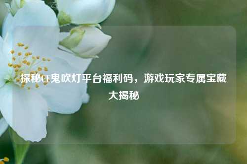 探秘CF鬼吹灯平台福利码，游戏玩家专属宝藏大揭秘