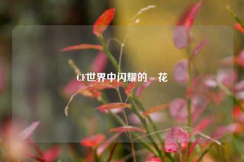 CF世界中闪耀的卬花