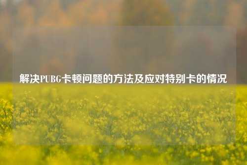 解决PUBG卡顿问题的方法及应对特别卡的情况