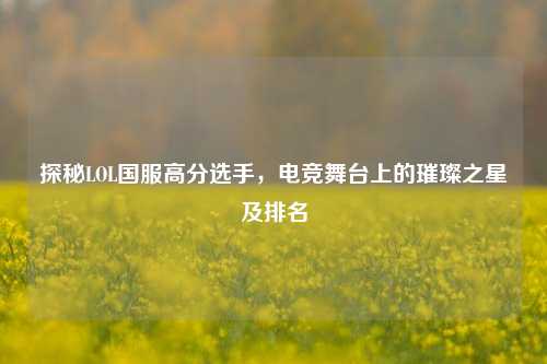 探秘LOL国服高分选手，电竞舞台上的璀璨之星及排名