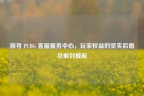 探寻 PUBG 客服服务中心，玩家权益的坚实后盾及解封模板