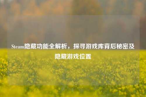 Steam隐藏功能全解析，探寻游戏库背后秘密及隐藏游戏位置