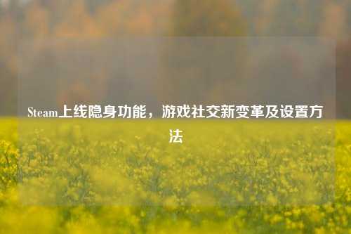 Steam上线隐身功能，游戏社交新变革及设置方法