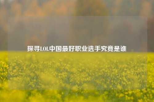 探寻LOL中国最好职业选手究竟是谁