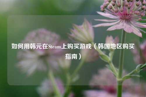 如何用韩元在Steam上购买游戏（韩国地区购买指南）