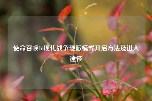 使命召唤16现代战争硬派模式开启方法及进入途径