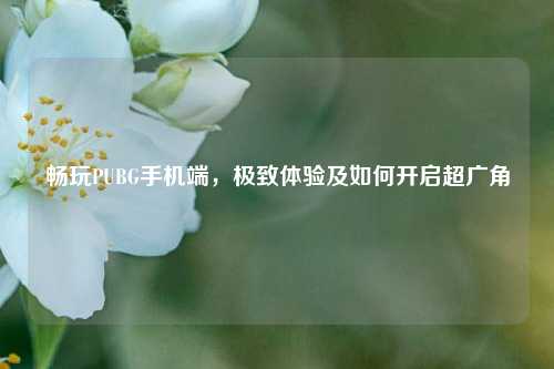 畅玩PUBG手机端，极致体验及如何开启超广角
