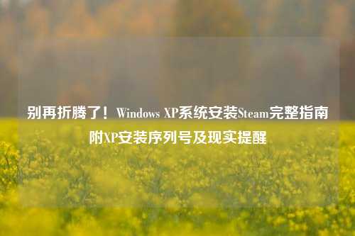 别再折腾了!Windows XP系统安装Steam完整指南附XP安装序列号及现实提醒