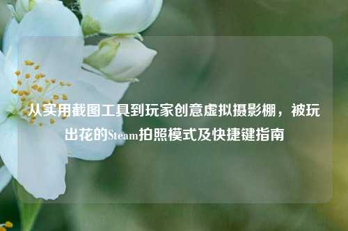 从实用截图工具到玩家创意虚拟摄影棚,被玩出花的Steam拍照模式及快捷键指南