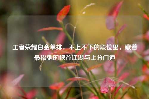 王者荣耀白金单排,不上不下的段位里,藏着最松弛的峡谷江湖与上分门道