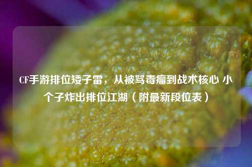 CF手游排位矮子雷,从被骂毒瘤到战术核心 小个子炸出排位江湖(附最新段位表)