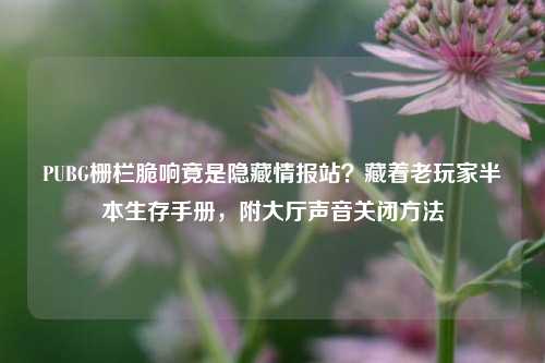 PUBG栅栏脆响竟是隐藏情报站?藏着老玩家半本生存手册,附大厅声音关闭方法