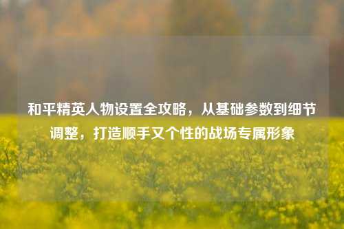 和平精英人物设置全攻略,从基础参数到细节调整,打造顺手又个性的战场专属形象