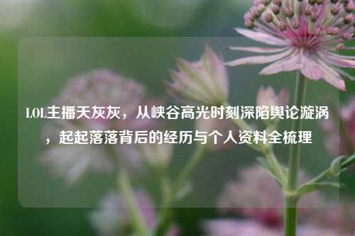 LOL主播天灰灰,从峡谷高光时刻深陷舆论漩涡,起起落落背后的经历与个人资料全梳理