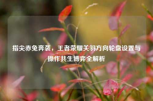 指尖赤兔奔袭,王者荣耀关羽方向轮盘设置与操作共生博弈全解析