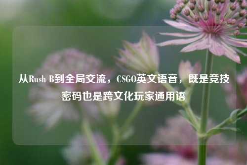 从Rush B到全局交流,CSGO英文语音,既是竞技密码也是跨文化玩家通用语