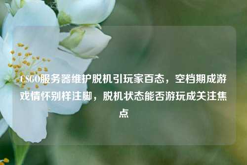 CSGO服务器维护脱机引玩家百态,空档期成游戏情怀别样注脚,脱机状态能否游玩成关注焦点
