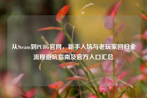 从Steam到PUBG官网,新手入坑与老玩家回归全流程避坑指南及官方入口汇总