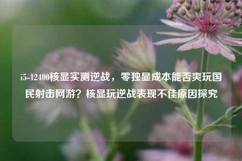 i5-12400核显实测逆战，零独显成本能否爽玩国民射击网游？核显玩逆战表现不佳原因探究