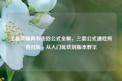 王者荣耀典韦连招公式全解,三套公式通吃所有对局,从入门乱砍到版本野王