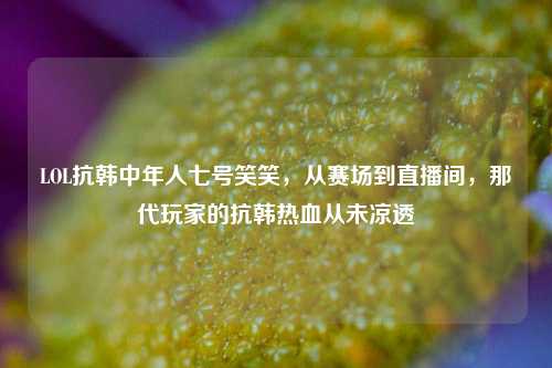 LOL抗韩中年人七号笑笑,从赛场到直播间,那代玩家的抗韩热血从未凉透