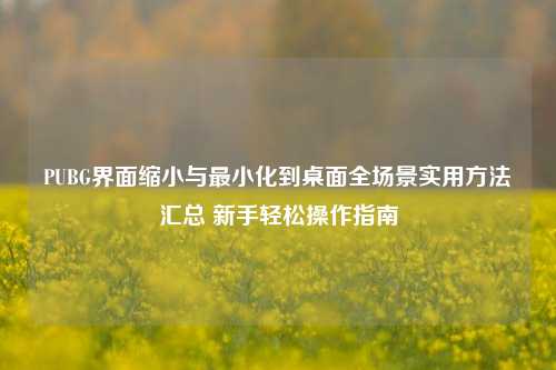 PUBG界面缩小与最小化到桌面全场景实用方法汇总 新手轻松操作指南