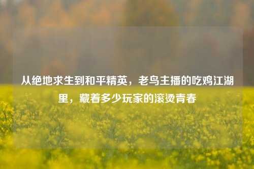 从绝地求生到和平精英,老鸟主播的吃鸡江湖里,藏着多少玩家的滚烫青春