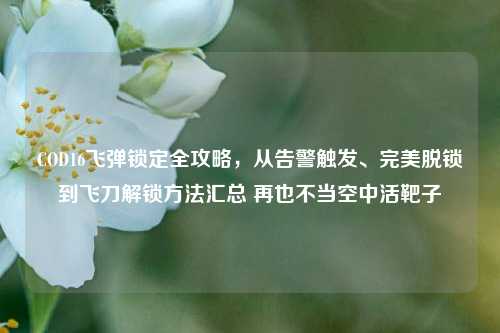 COD16飞弹锁定全攻略,从告警触发、完美脱锁到飞刀解锁方法汇总 再也不当空中活靶子