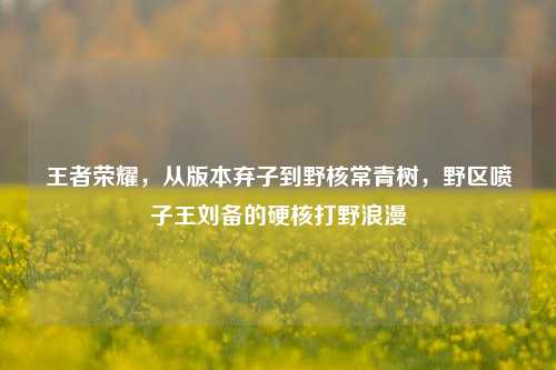 王者荣耀,从版本弃子到野核常青树,野区喷子王刘备的硬核打野浪漫
