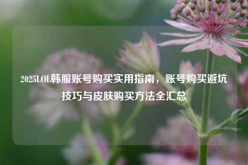 2025LOL韩服账号购买实用指南,账号购买避坑技巧与皮肤购买方法全汇总