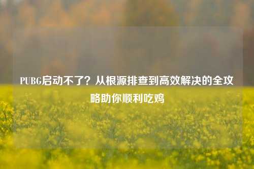 PUBG启动不了?从根源排查到高效解决的全攻略助你顺利吃鸡