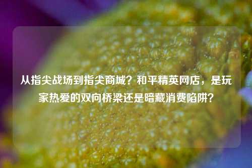 从指尖战场到指尖商城？和平精英网店，是玩家热爱的双向桥梁还是暗藏消费陷阱？