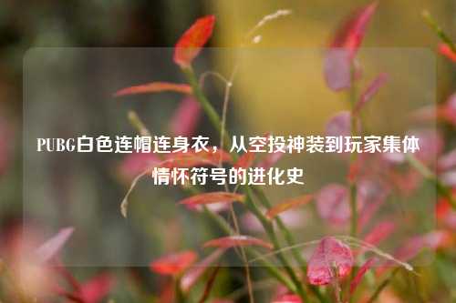 PUBG白色连帽连身衣,从空投神装到玩家集体情怀符号的进化史