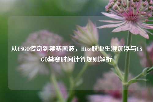 从CSGO传奇到禁赛风波，Hiko职业生涯沉浮与CSGO禁赛时间计算规则解析