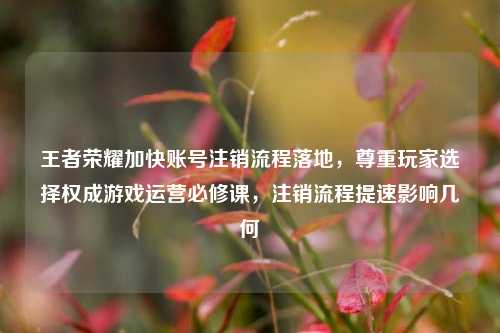 王者荣耀加快账号注销流程落地,尊重玩家选择权成游戏运营必修课,注销流程提速影响几何