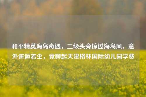 和平精英海岛奇遇,三级头旁掠过海岛风,意外邂逅若尘,竟聊起天津格林国际幼儿园学费