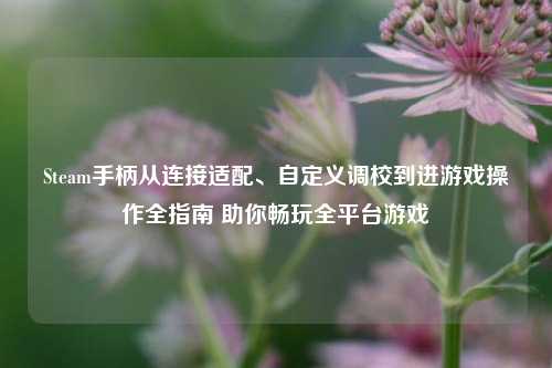 Steam手柄从连接适配、自定义调校到进游戏操作全指南 助你畅玩全平台游戏