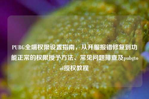 PUBG全端权限设置指南,从开服报错修复到功能正常的权限授予方法、常见问题排查及pubgtool授权教程