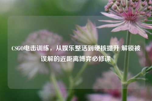 CSGO电击训练,从娱乐整活到硬核提升 解锁被误解的近距离博弈必修课