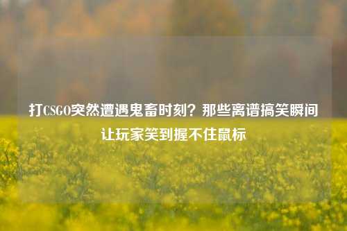 打CSGO突然遭遇鬼畜时刻?那些离谱搞笑瞬间让玩家笑到握不住鼠标