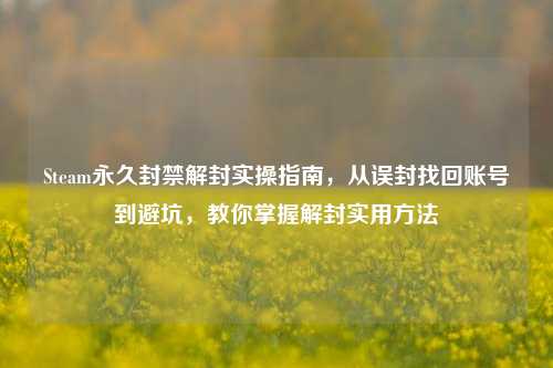 Steam永久封禁解封实操指南，从误封找回账号到避坑，教你掌握解封实用方法