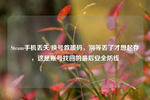 Steam手机丢失/换号救援码,别等丢了才想起存,这是账号找回的最后安全防线