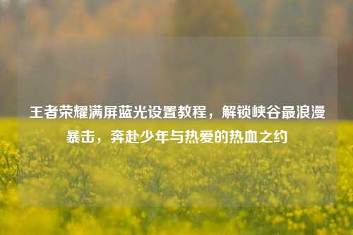 王者荣耀满屏蓝光设置教程,解锁峡谷最浪漫暴击,奔赴少年与热爱的热血之约