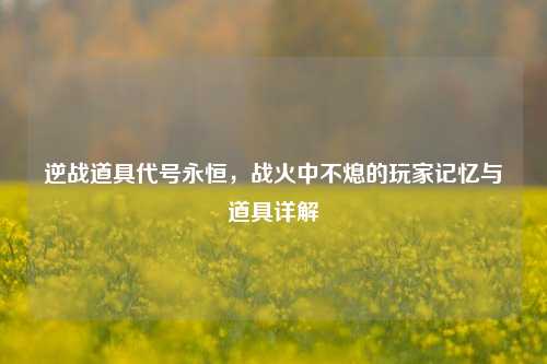 逆战道具代号永恒,战火中不熄的玩家记忆与道具详解