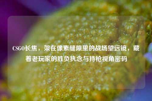 CSGO长焦，架在像素缝隙里的战场望远镜，藏着老玩家的胜负执念与持枪视角密码