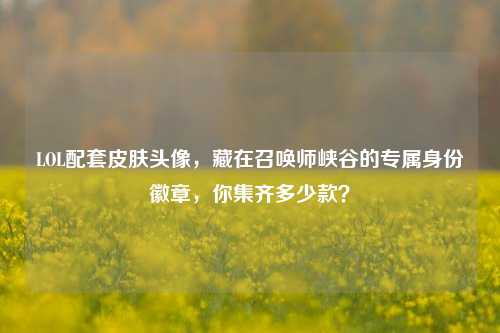 LOL配套皮肤头像，藏在召唤师峡谷的专属身份徽章，你集齐多少款？