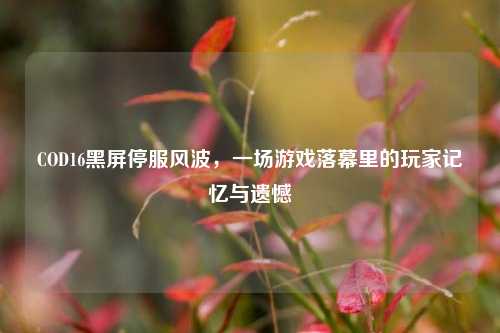COD16黑屏停服风波,一场游戏落幕里的玩家记忆与遗憾