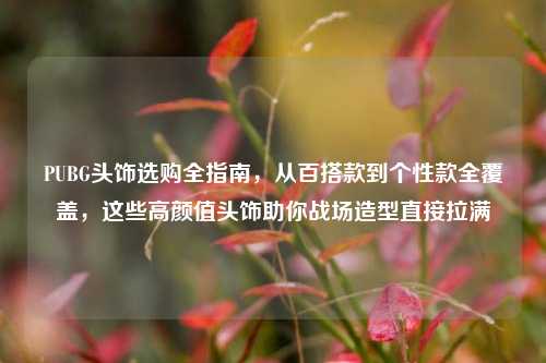 PUBG头饰选购全指南,从百搭款到个性款全覆盖,这些高颜值头饰助你战场造型直接拉满
