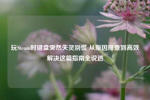 玩Steam时键盘突然失灵别慌 从原因排查到高效解决这篇指南全说透
